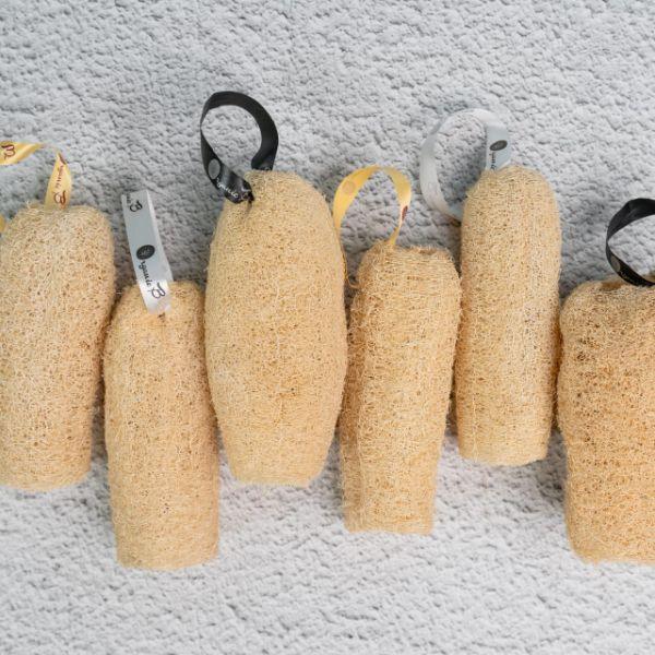 Natural Organic Loofah, Body Scrubber/Sponge (Pack of 6)-300gm - Orgoshops