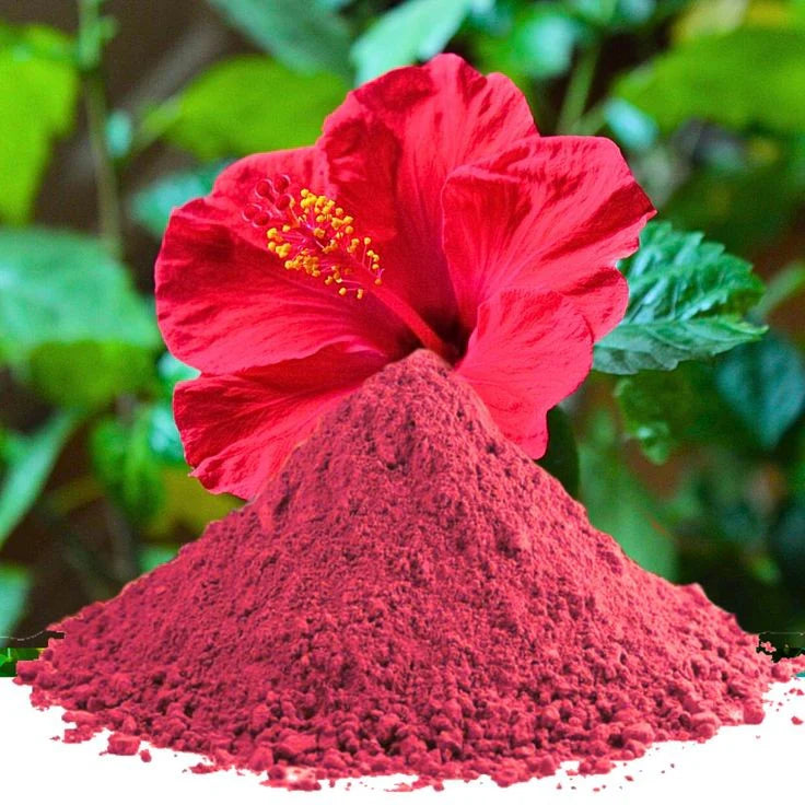 Nisarg Organic Farm Hibiscus Powder