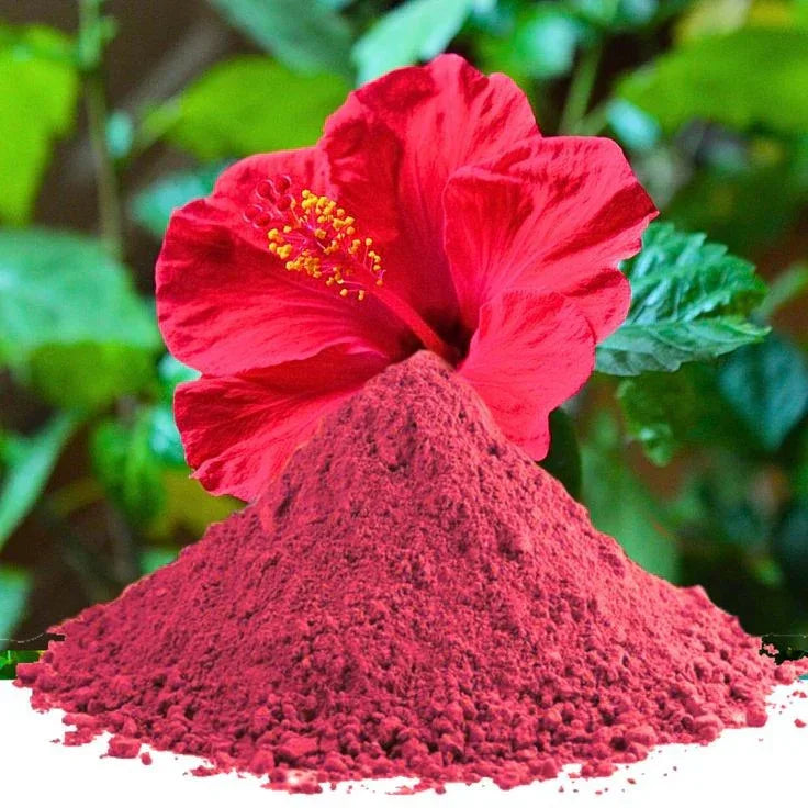 Nisarg Organic Farm Hibiscus Powder - Orgoshops