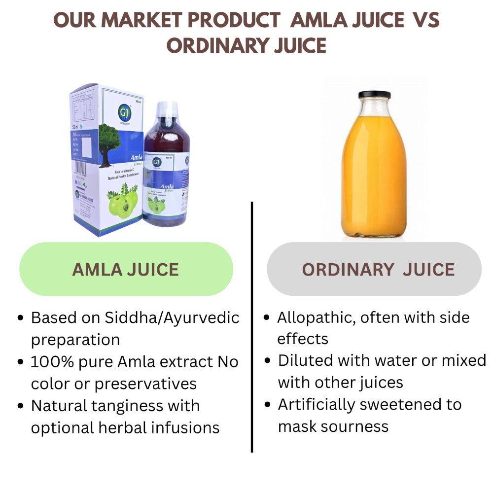 GJ Global Herbs Amla Extract Juice - 500 ml