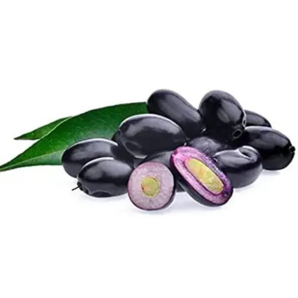 GJ Global Herbs Jamun Extract Juice - 500 ml - Orgoshops