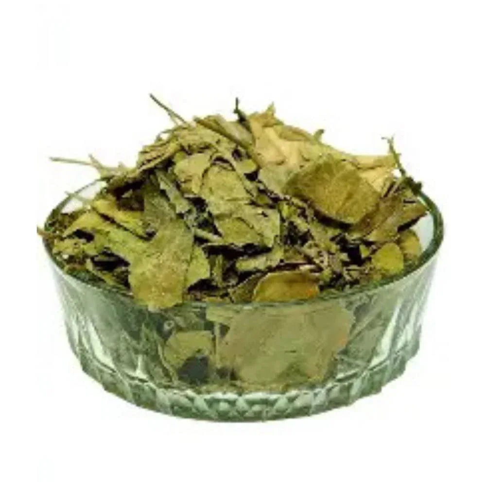 Oxygen Herbals Pure Sirukurinjan Dried Leaves - 130 g - Orgoshops