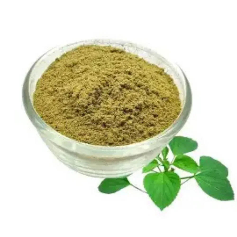 Oxygen Herbals Neotea Kuppaimeni / Acalypha Indica - 250 g - Orgoshops