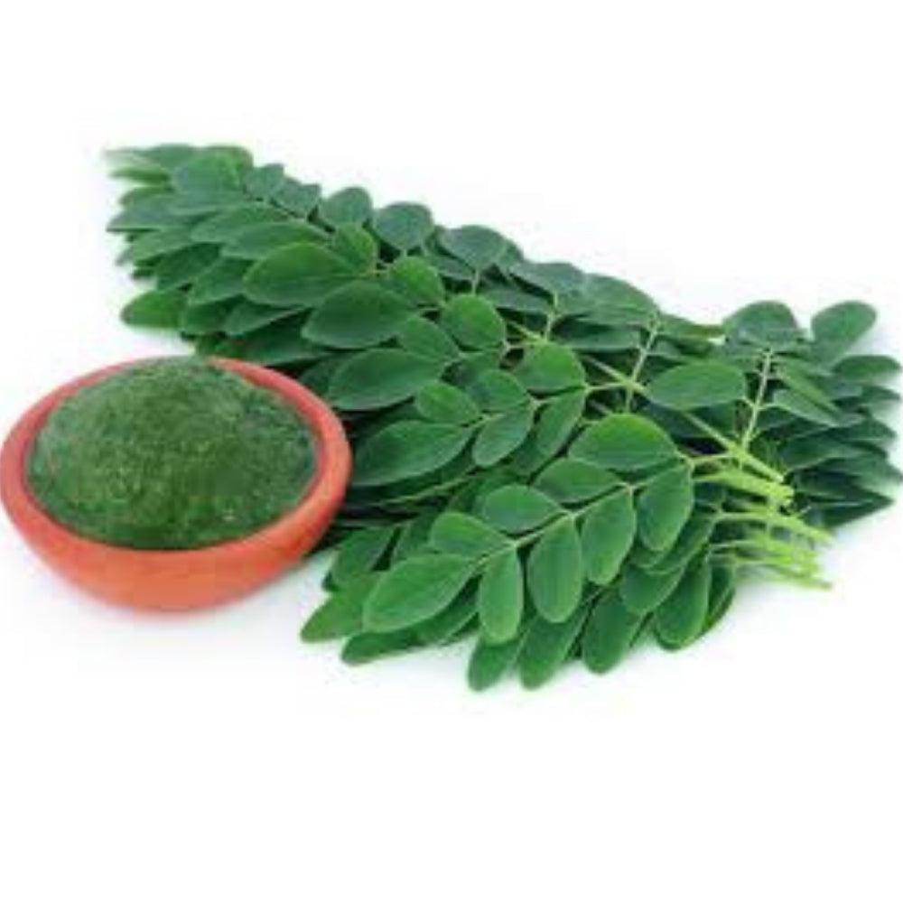 Oxygen Herbals Drumstick / Moringa Leaves Powder - 250 g