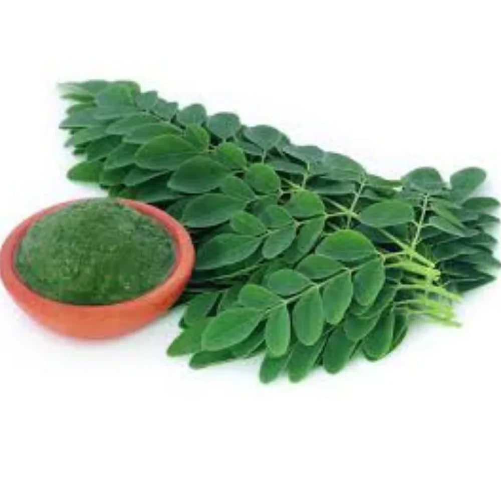 Oxygen Herbals Drumstick / Moringa Leaves Powder - 250 g - Orgoshops