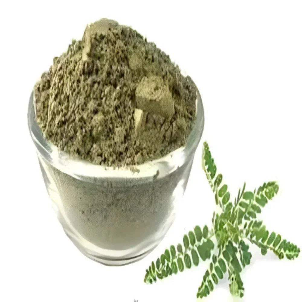 Oxygen Herbals Keelanelli / Bhumyamalaki / Phyllanthus Niruri Powder - 250 g - Orgoshops