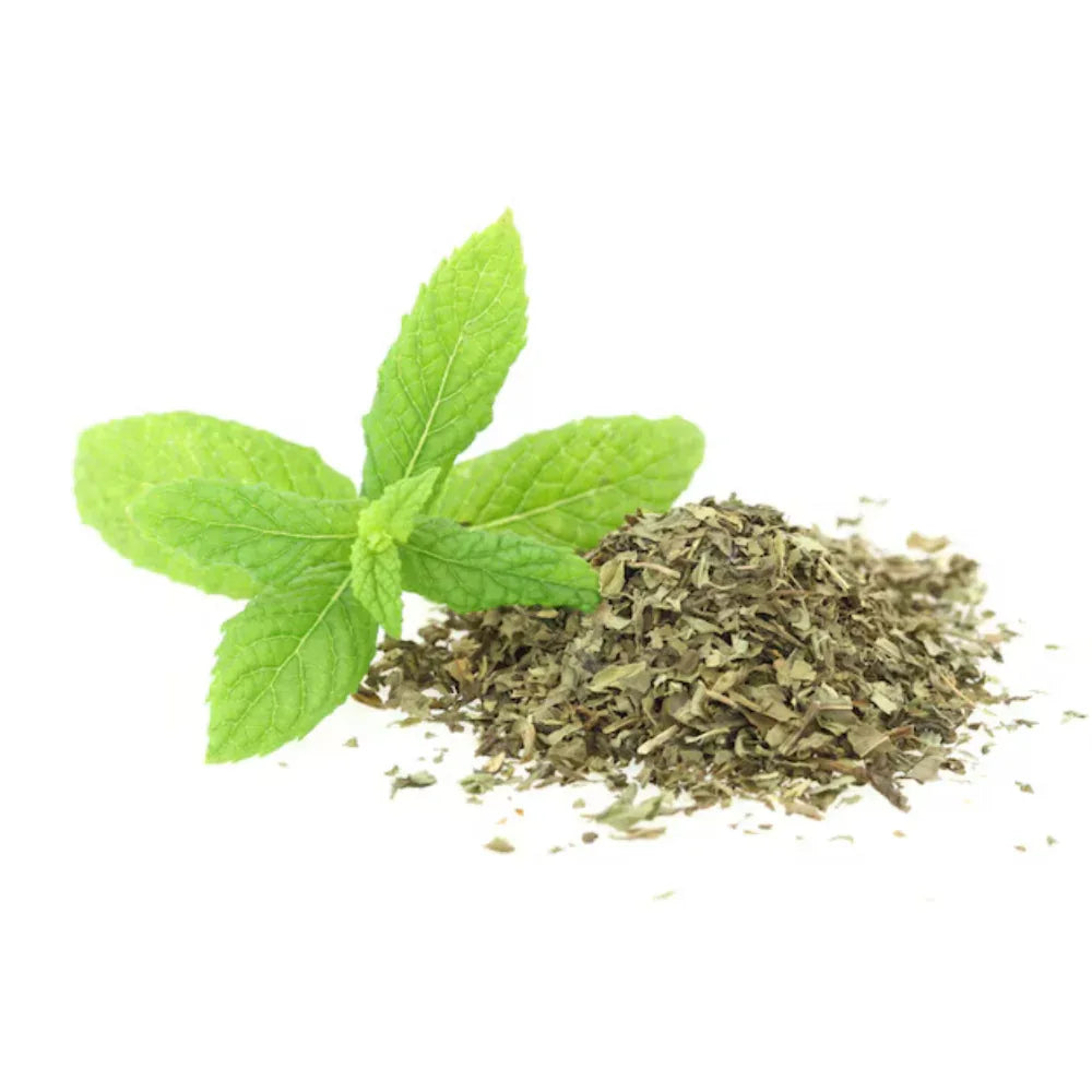 Oxygen Herbals Mint Dry Leaves - 130 g - Orgoshops