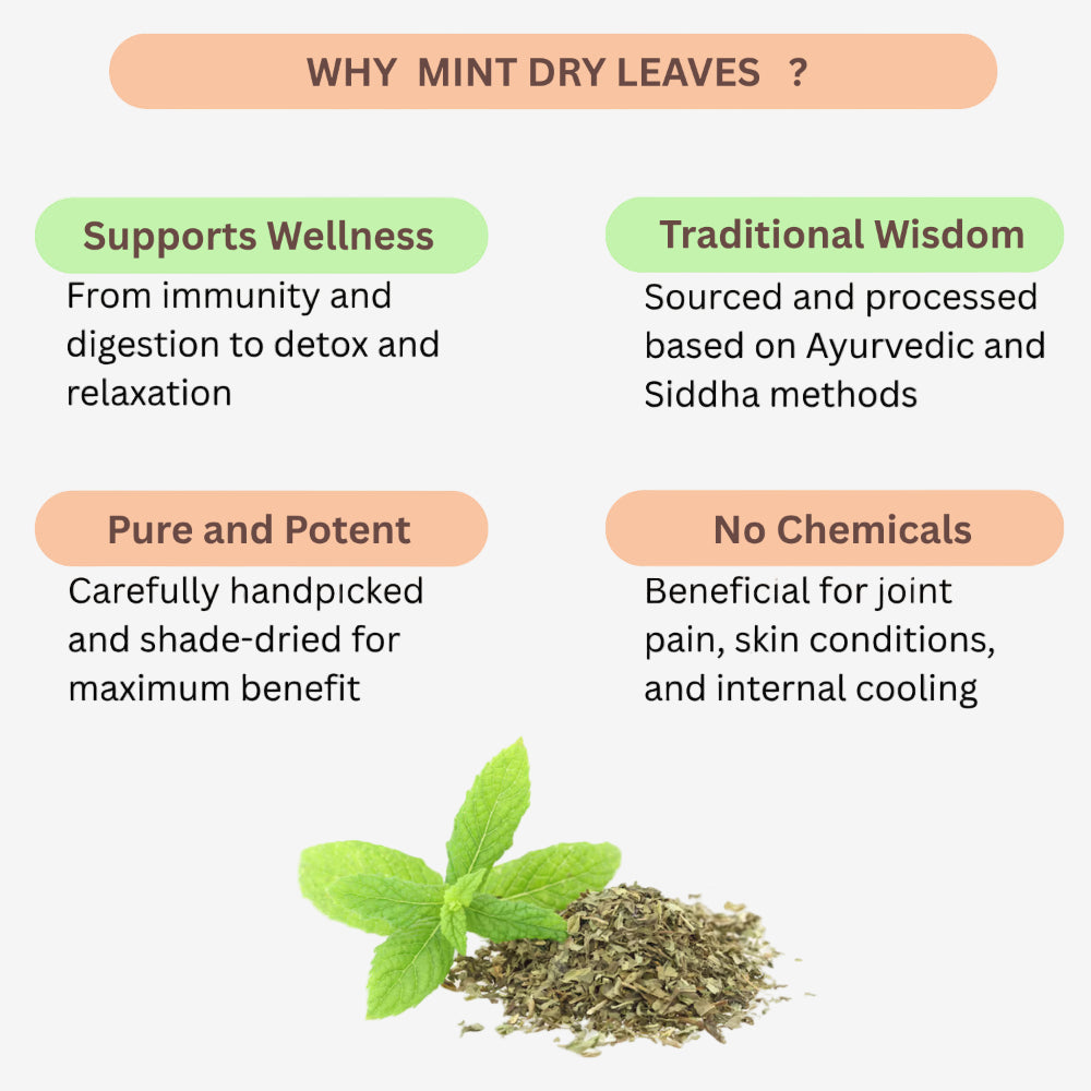 Oxygen Herbals Mint Dry Leaves - 130 g