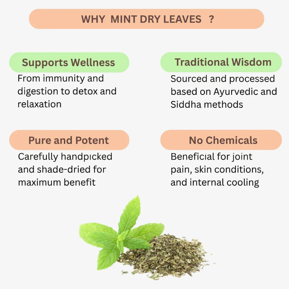 Oxygen Herbals Mint Dry Leaves - 130 g - Orgoshops