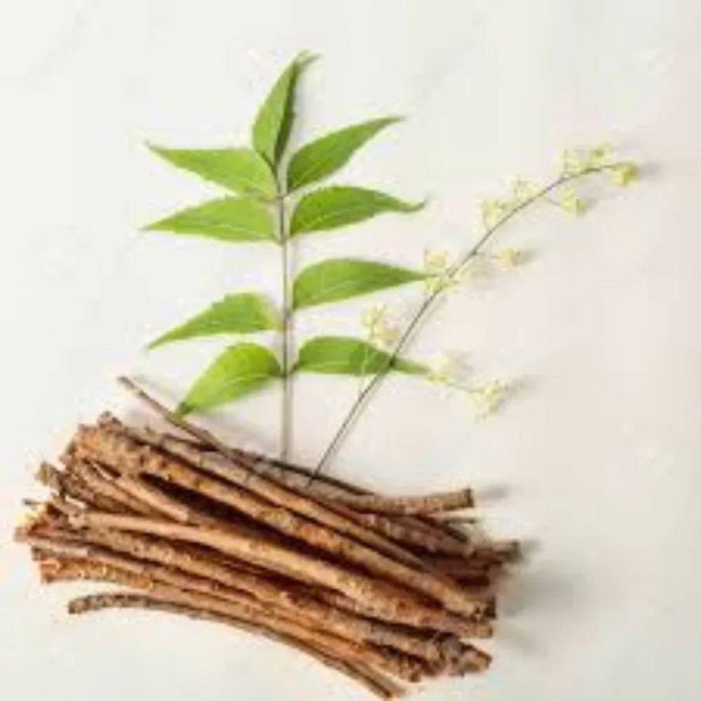 Oxygen Herbals Neem Chewing Sticks - 50 sticks - Orgoshops