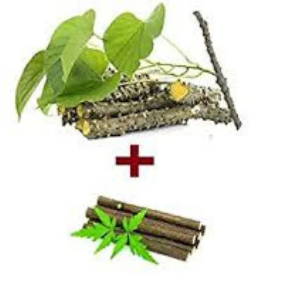Oxygen Herbals Neem And Banyan Chewing Stick - 25+25 - Orgoshops