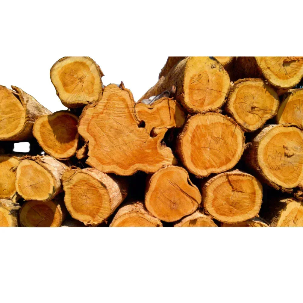 KPR Furniture Wooden Double Cot Bed Size - 75 × 48inches ( Brown ) - Orgoshops