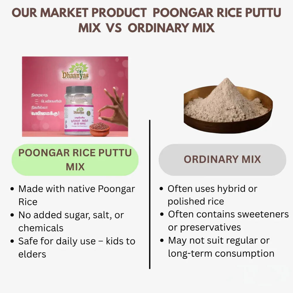 Dhaanyas Poongar Rice Puttu Mix / Poongar Arusi Puttu Maavu - 250 g (Pack of 3) - Orgoshops
