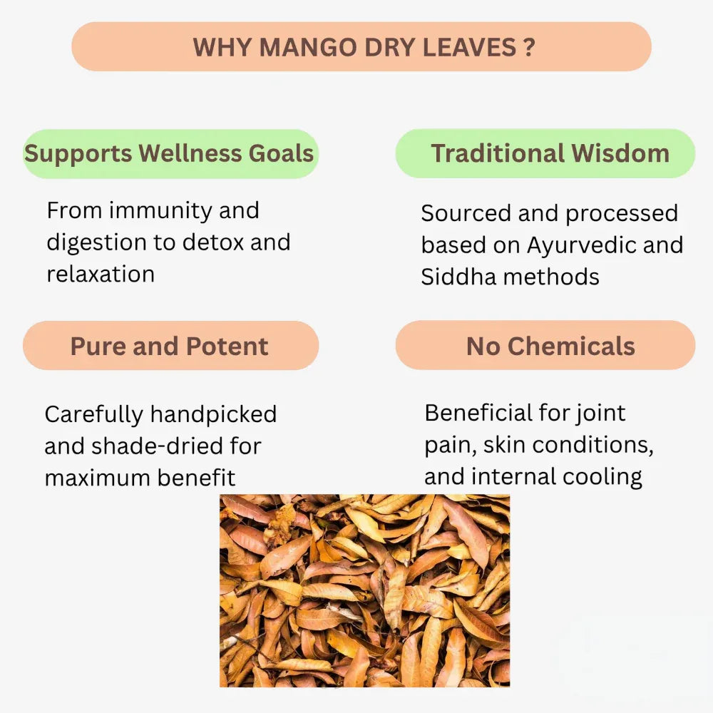 Oxygen Herbals Pure Mango Dry Leaves - 150 g - Orgoshops