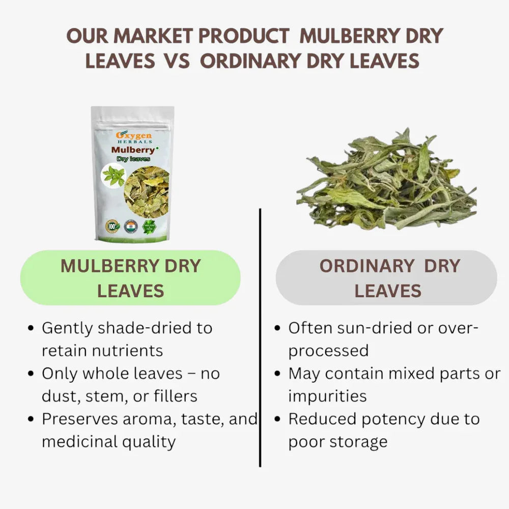 Oxygen Herbals Pure Mulberry Dry Leaves - 130 g - Orgoshops