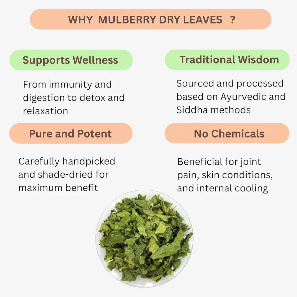 Oxygen Herbals Pure Mulberry Dry Leaves - 130 g - Orgoshops