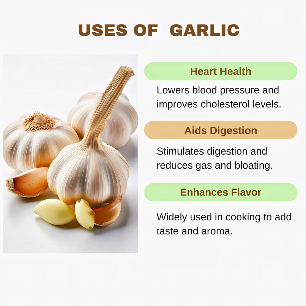 Abinisha Garlic | Fresh Garlic | Organic Garilc | Poondu - 500 g - Orgoshops