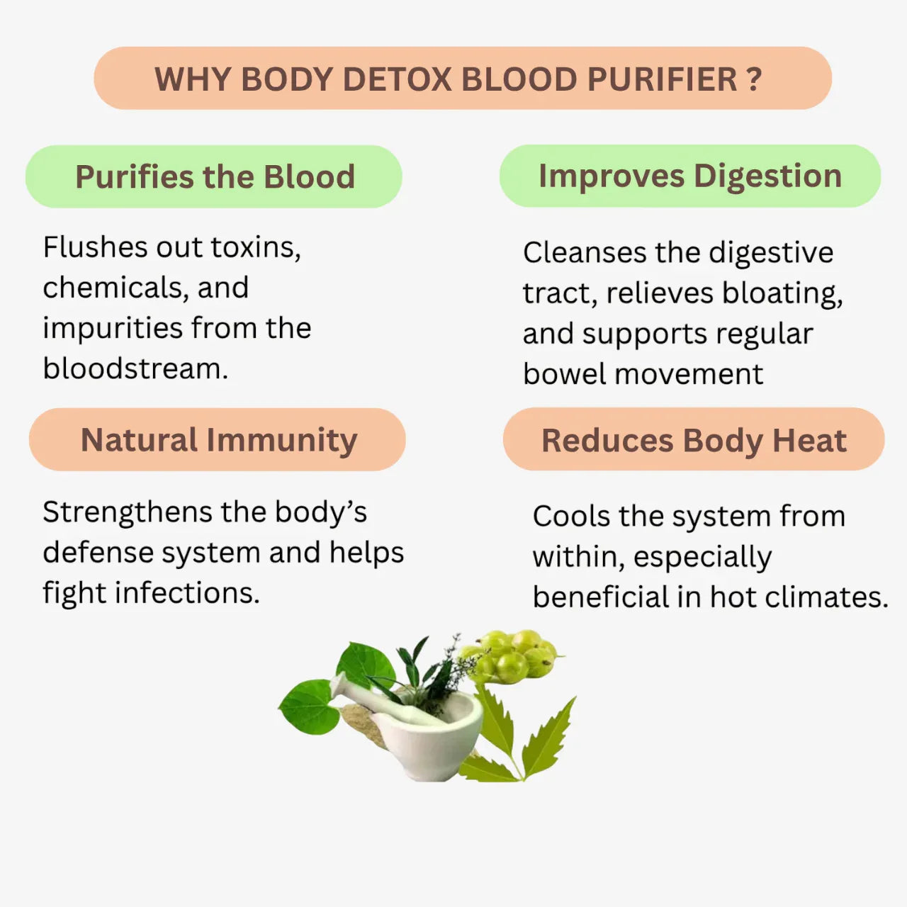 Nisarg Organic Farm Body Detox Blood Purifier - Orgoshops