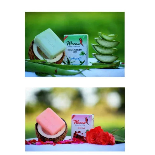 Macaw Herbal Neem and Aloe vera and Rose Soap - 200g (Pack of 2) - Orgoshops