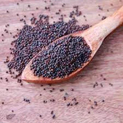 Araikkal : Mustard / Kadugu, 100g ( Pack of 4 ) - Orgoshops