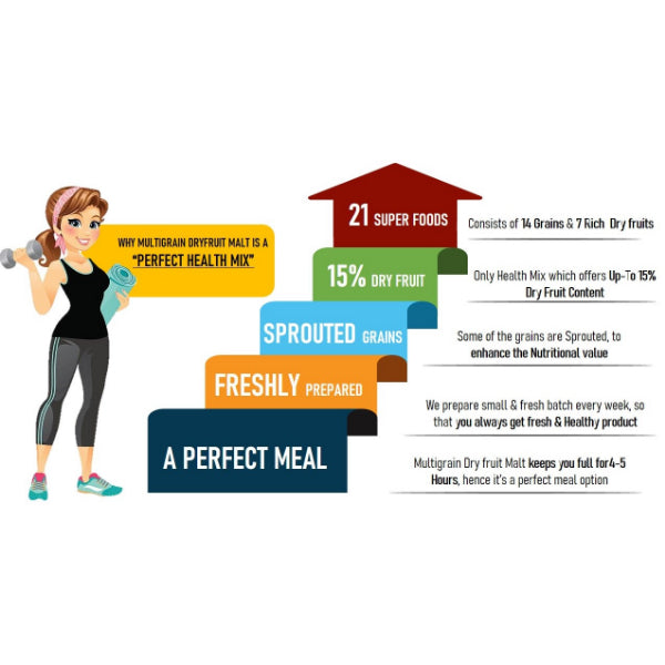 Healthy Panda : Multigrain Dry Fruit Malt