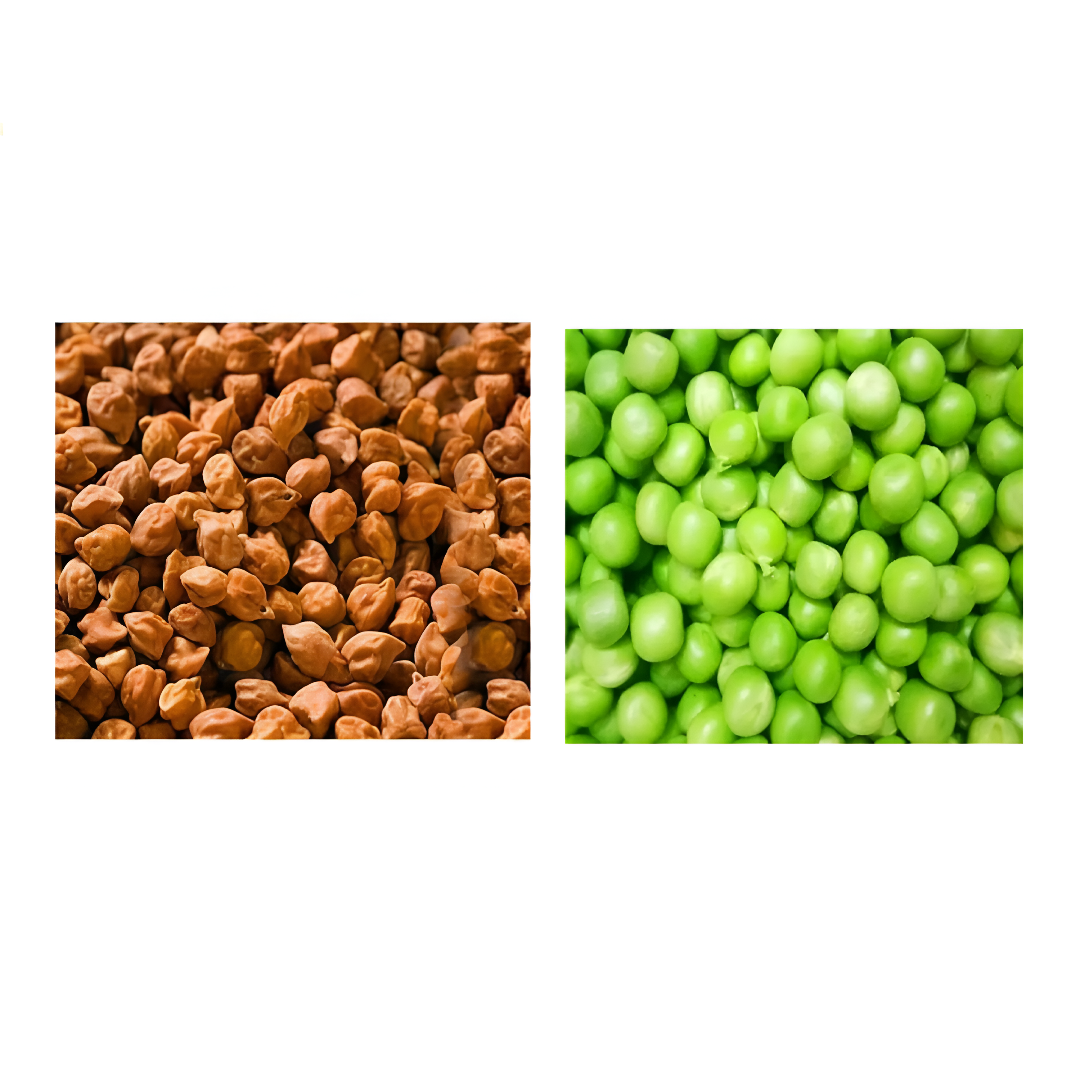 Sangat Chick Peas Brown With Green Peas Each - 1 kg (Pack of 2)