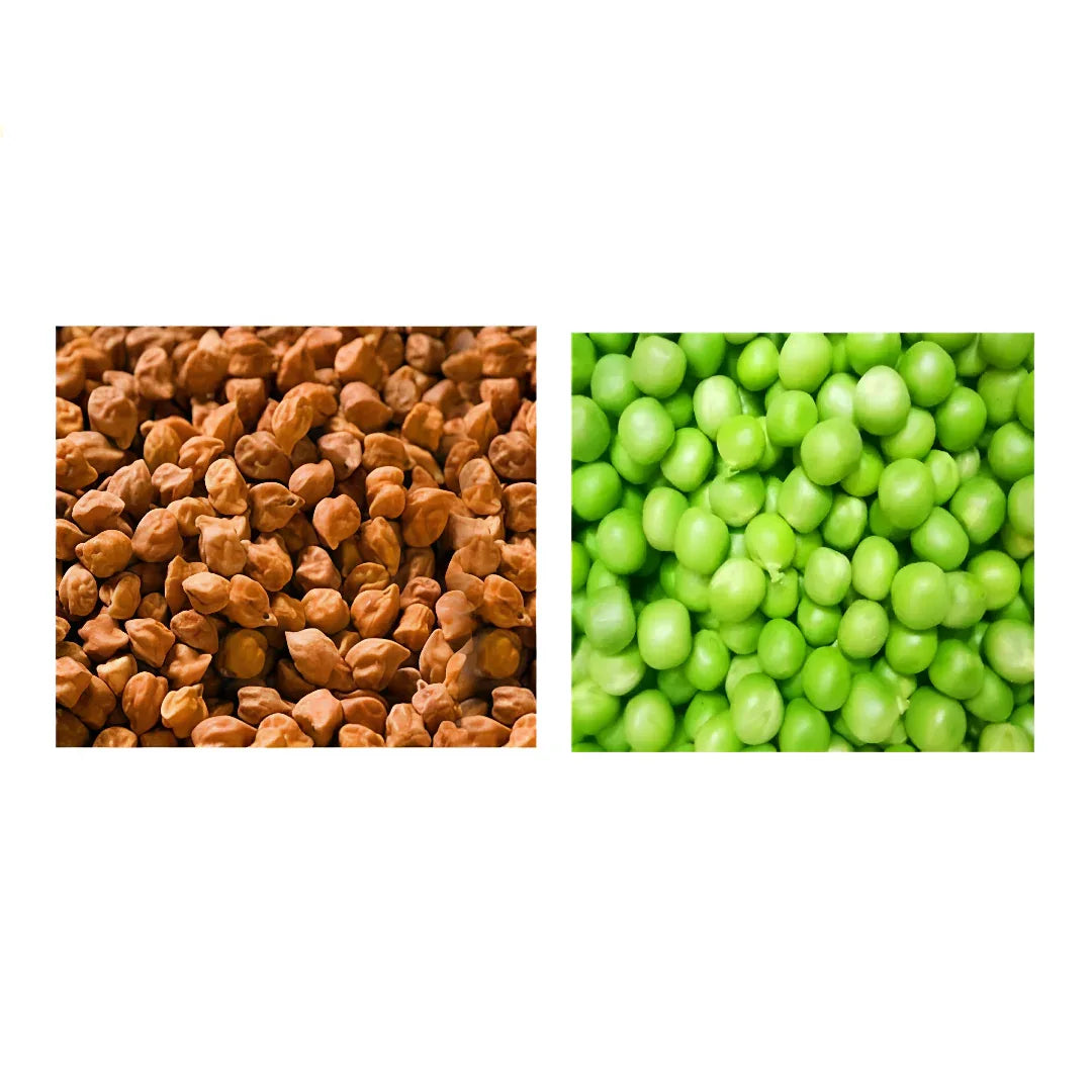 Sangat Chick Peas Brown With Green Peas Each - 1 kg (Pack of 2) - Orgoshops