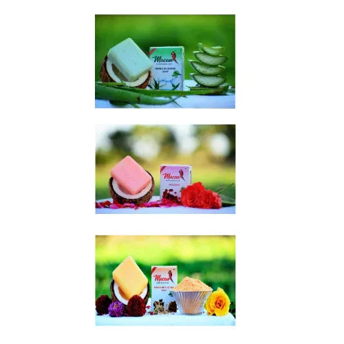 Macaw Herbal Neem and Aloevera and Rose and Sandal Soap - 300g (Pack of 3) - Orgoshops