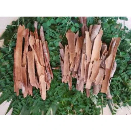 Genius Herbs Organic Moringa Chinnamon Tablets - 100 Tablets - Orgoshops