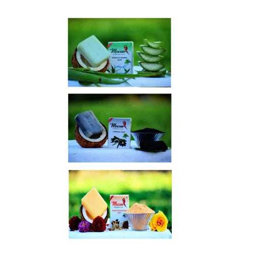 Macaw Herbal Neem and Aloevera and Sandal and Charcoal Soap - 300g (Pack of 3) - Orgoshops