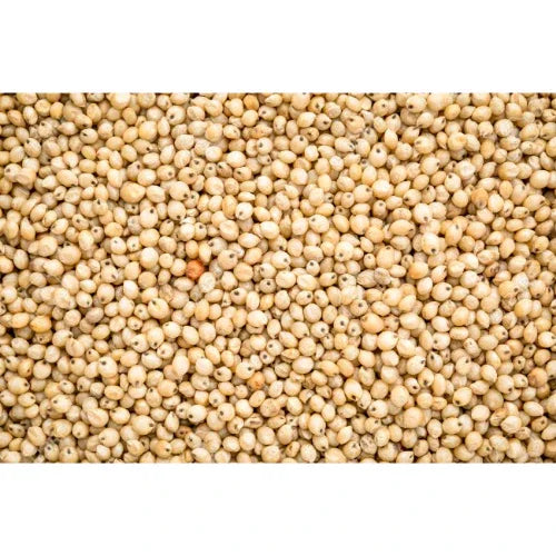 Araikkal : White Sorghum, 500g ( Pack of 4 ) - Orgoshops