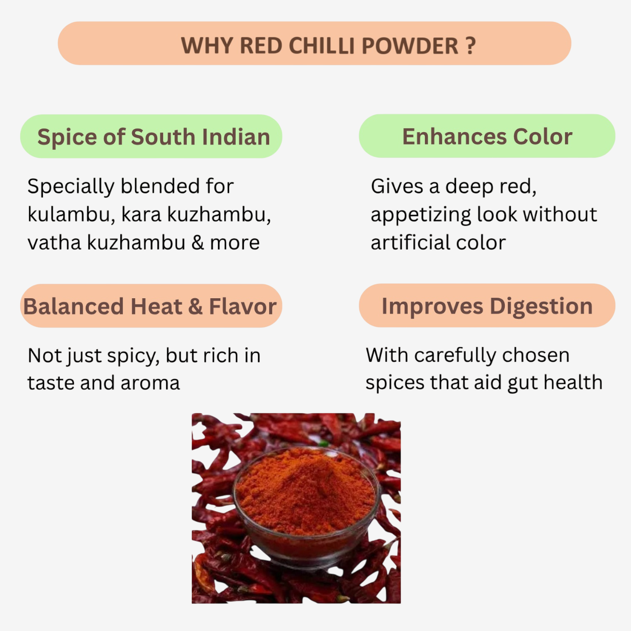 Abi's Masala Chilli Powder - 100 g (Pack of 5)