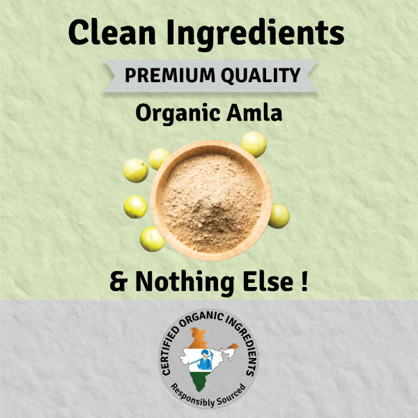 Jus Amazin Organic Amla Powder (250g) | Single Ingredients – 100% Organic Amla Powder