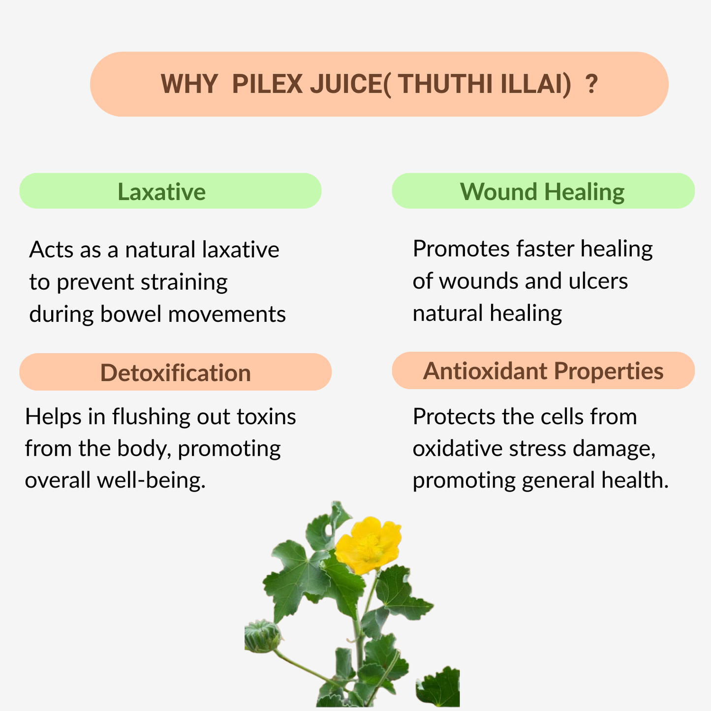 33 Herbals Pilex Juice(Thuthi illai) - 500 ml