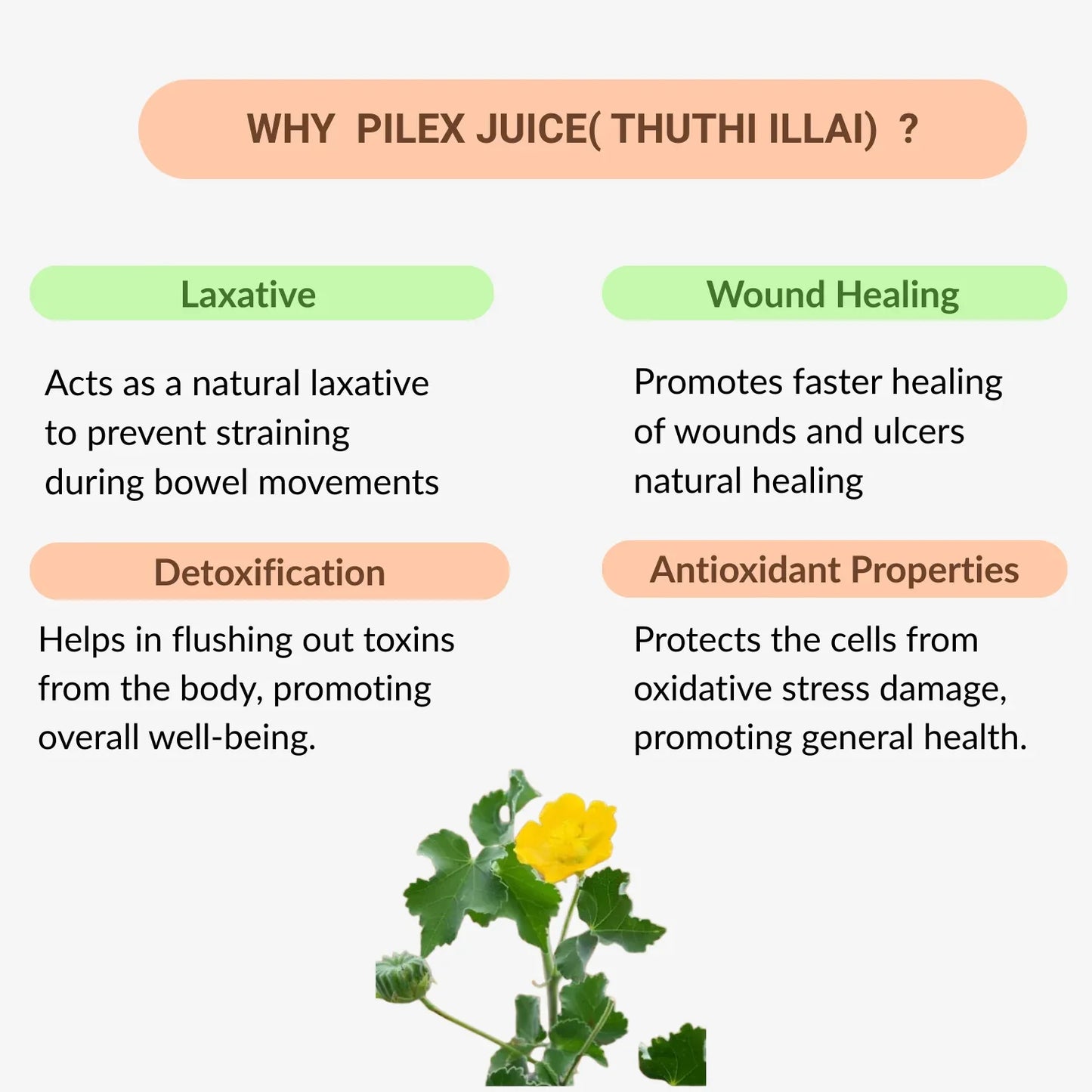 33 Herbals Pilex Juice(Thuthi illai) - 500 ml - Orgoshops