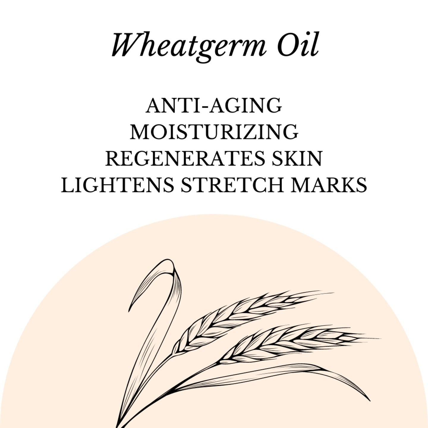 Fuschia - Wheatgerm Oil இயற்கை கையால் செய்யப்பட்ட மூலிகை சோப் - 100 கிராம்