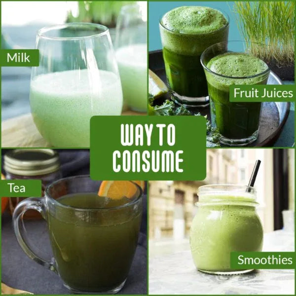 Nattfru : Wheatgrass Powder | No added Sugar | Immunity Booster Support - Orgoshops