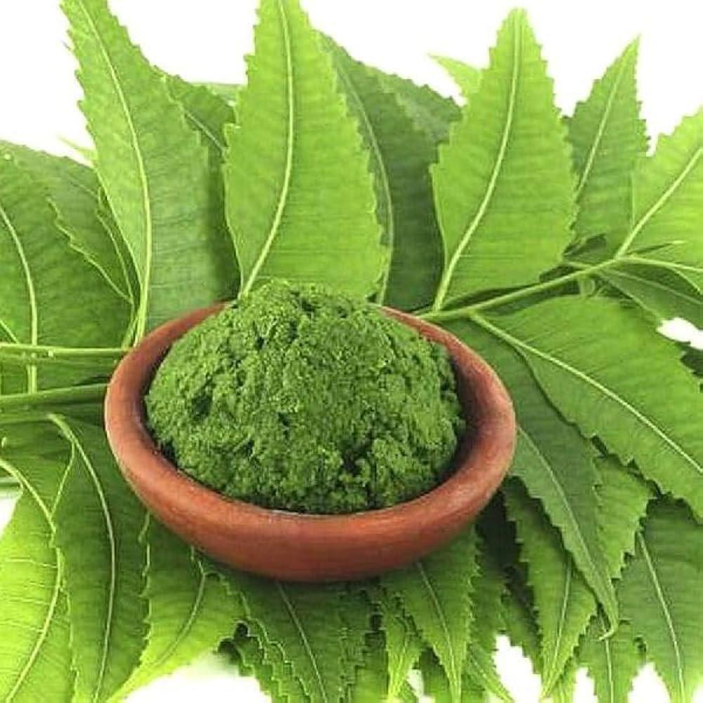 Nisarg Organic Neem Leaf Powder - Orgoshops