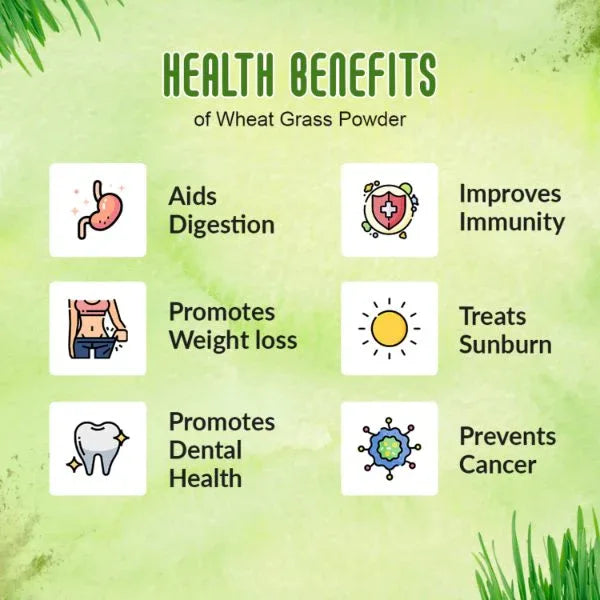 Nattfru : Wheatgrass Powder | No added Sugar | Immunity Booster Support - Orgoshops