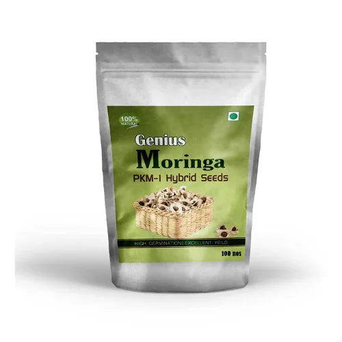 Moringa PKM 1 Hybrid seeds - 100nos - Orgoshops