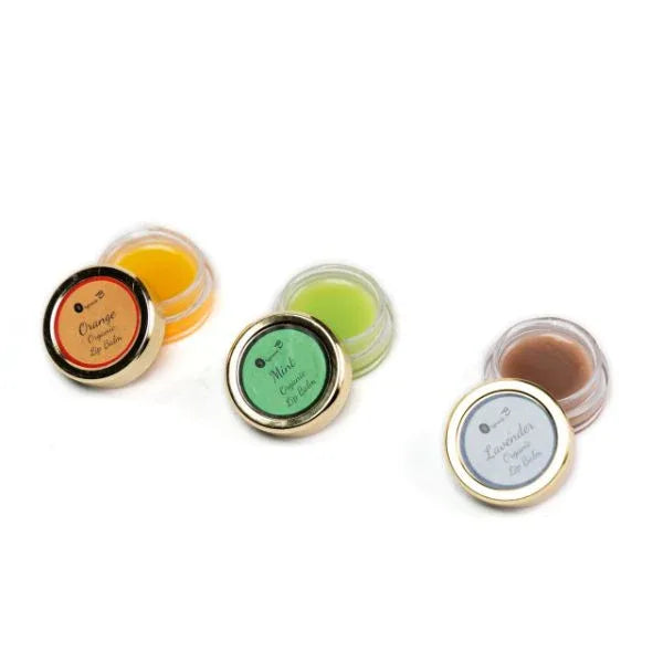 Organic B Lip Balm Pack Of 3 Different Flavours-300gm - Orgoshops