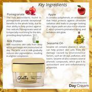 Advanced Recovery Day Cream 50gms - Orgoshops