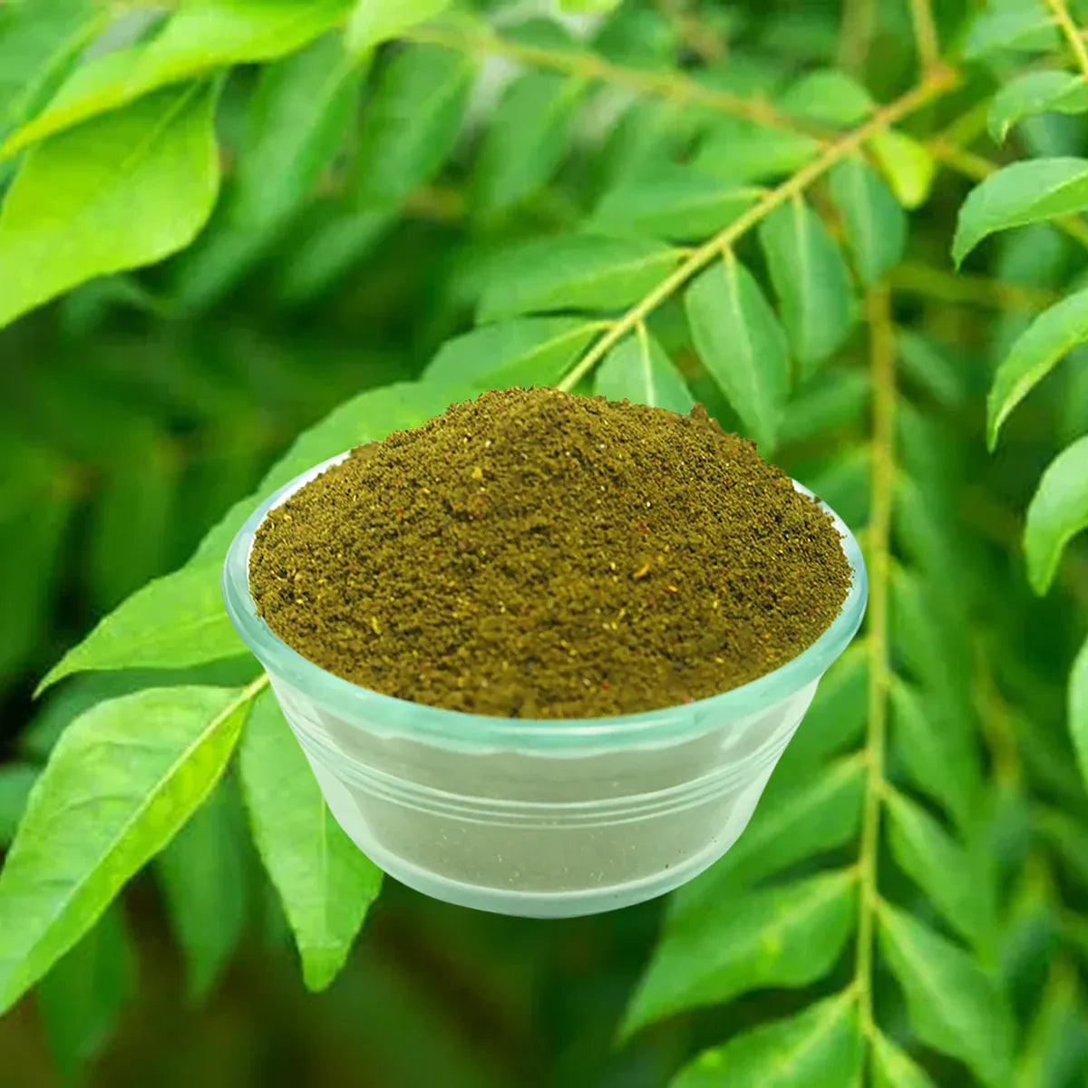 Nisarg Organic Farm Curry Leaf Powder - Orgoshops