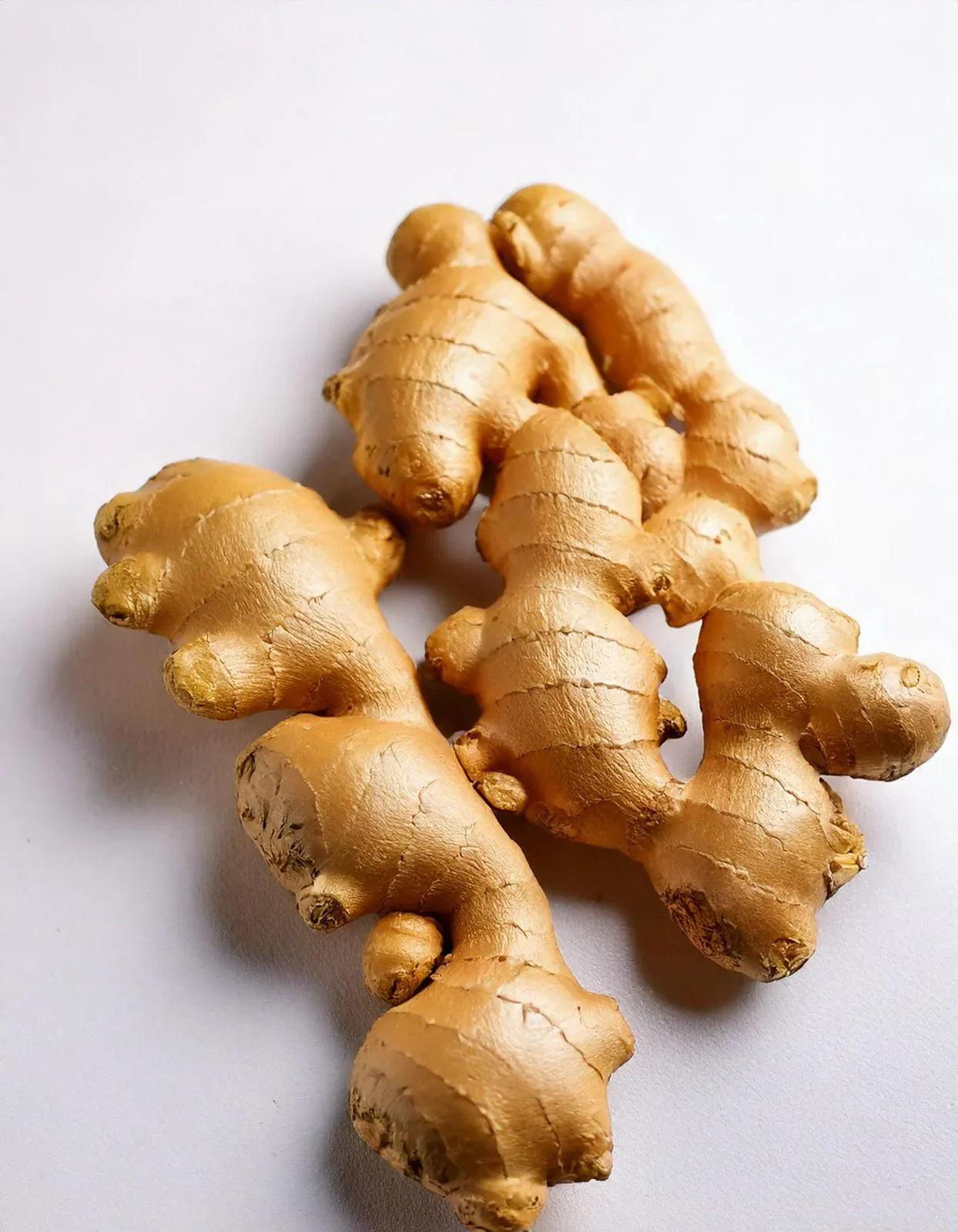 Abinisha Premium Quality Ginger / Inji - 500 g - Orgoshops