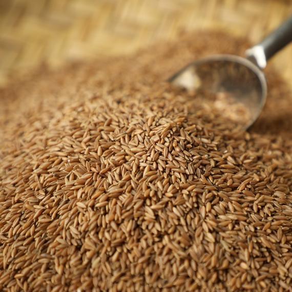 Araikkal Bamboo Rice / Moongil Arisi - 200 g ( Pack of 2) - Orgoshops