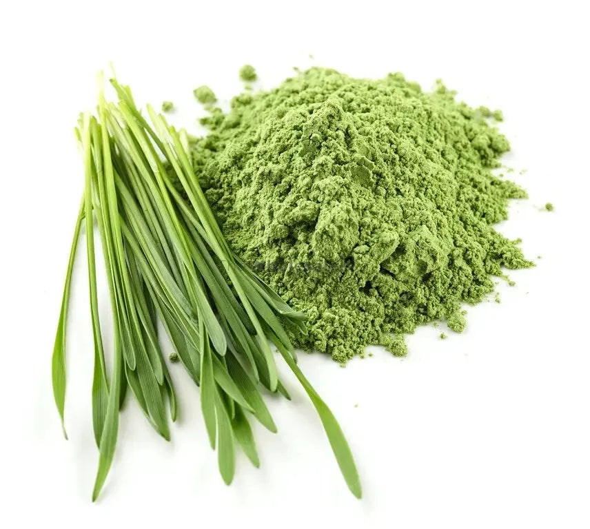 NIsarg Organic Farm Barleygrass Powder - Orgoshops