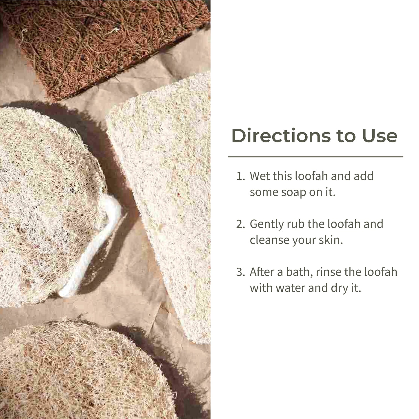 Ecotyl Body Loofah | For Gentle Exfoliation | Natural Loofah - Set of 2 - Orgoshops