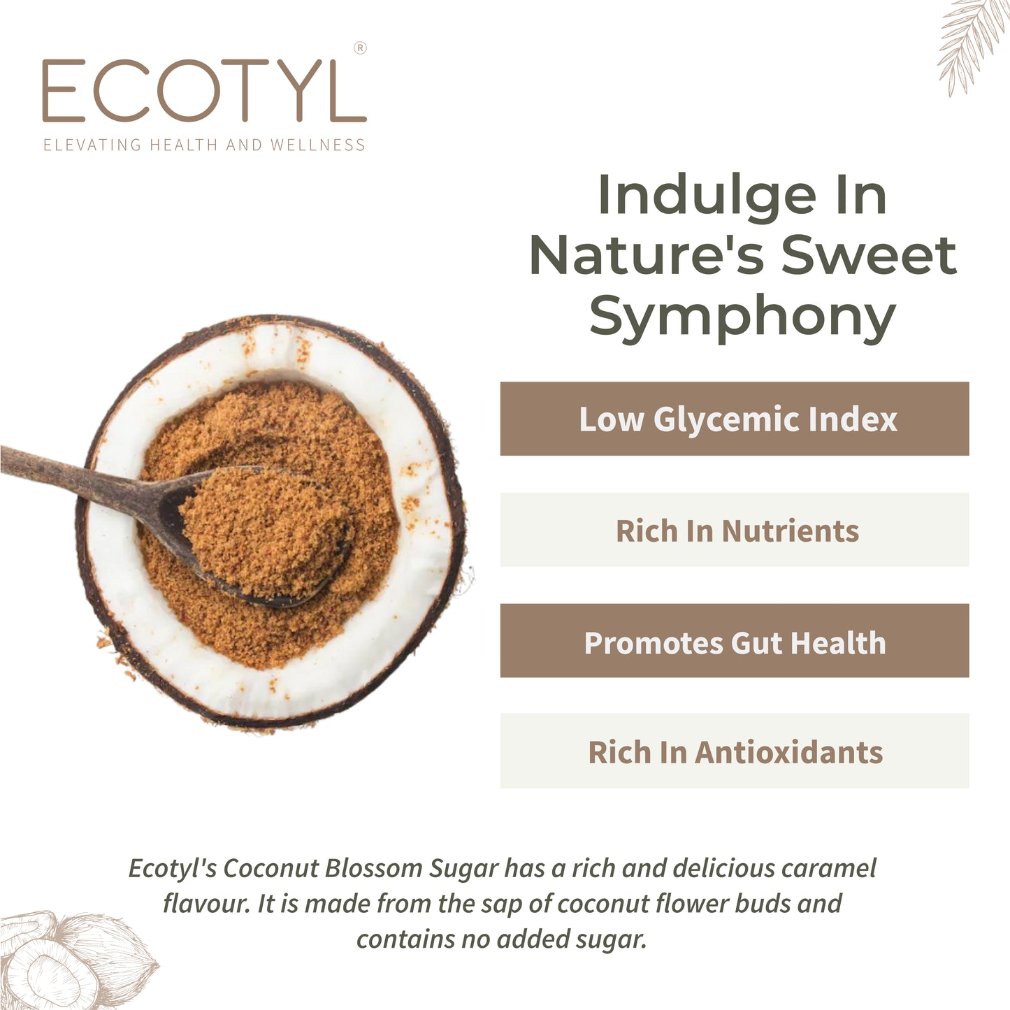 Ecotyl Coconut Sugar | Blossom Sugar | Natural Sweetener - 300g
