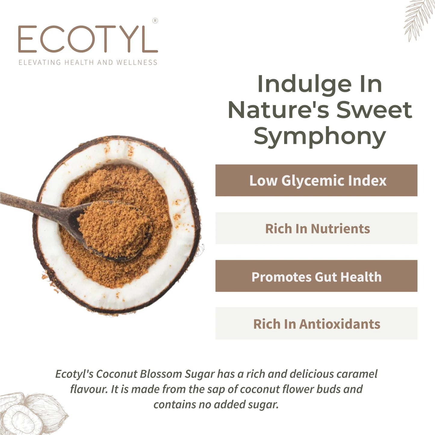 Ecotyl Coconut Sugar | Blossom Sugar | Natural Sweetener - 300g - Orgoshops