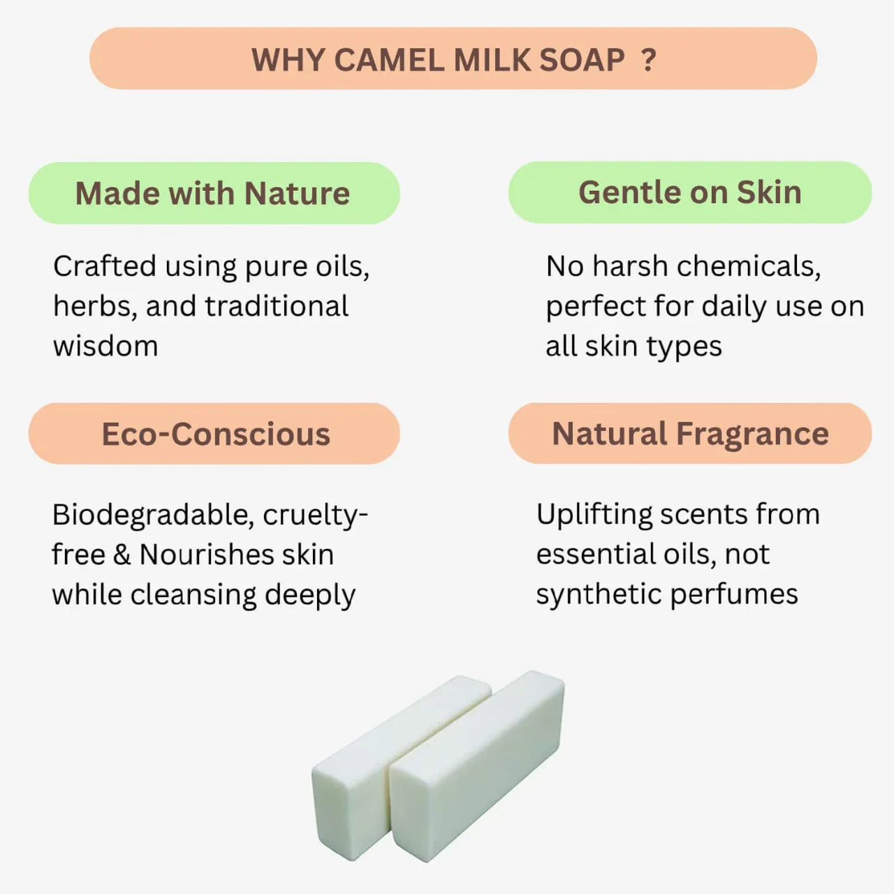 Veena Camel Milk Soap Base - 1kg - Orgoshops